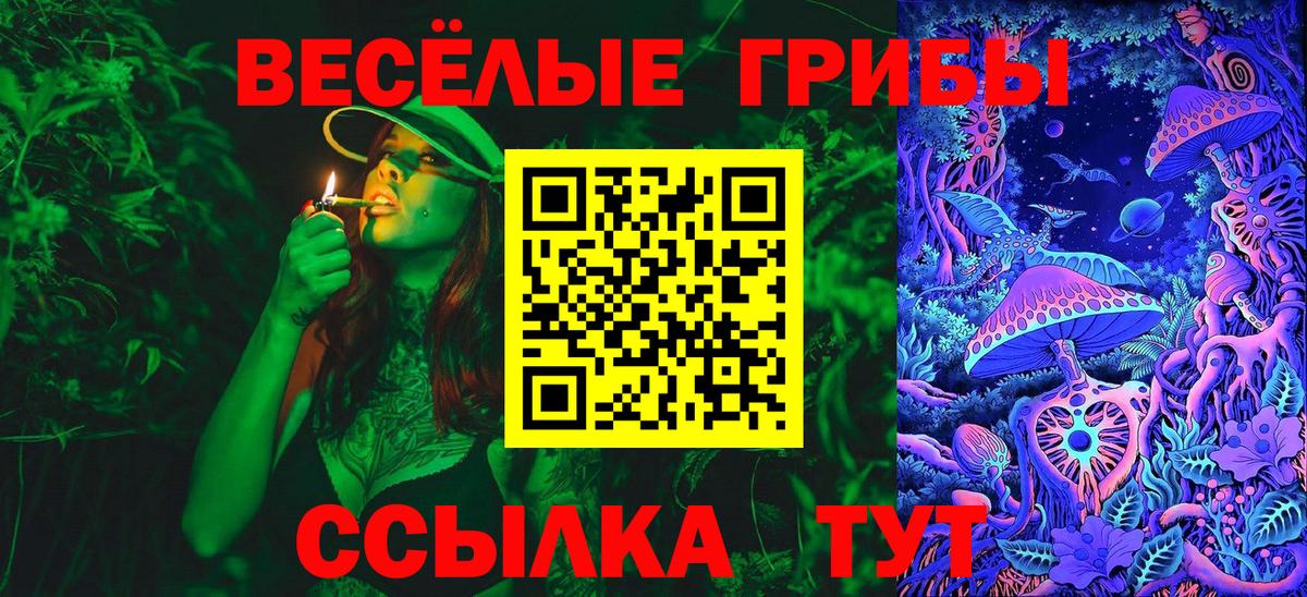 Псилоцибиновые грибы мухоморы Серпухов