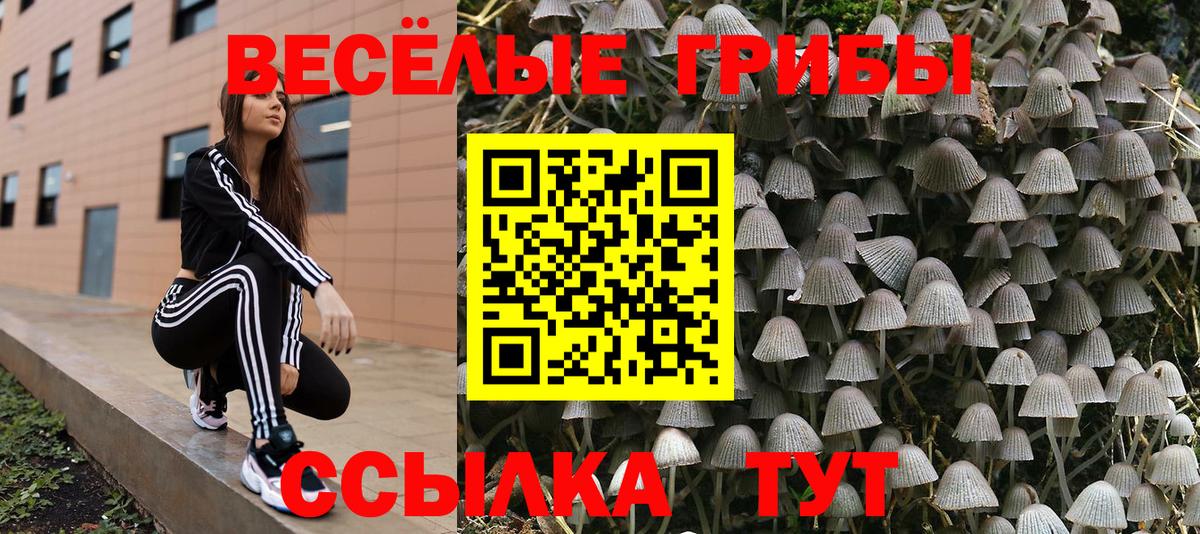 Серпухов  Псилоцибиновые грибы GOLDEN TEACHER  Галлюциногенные грибы ЛСД  Вход с VPN 
