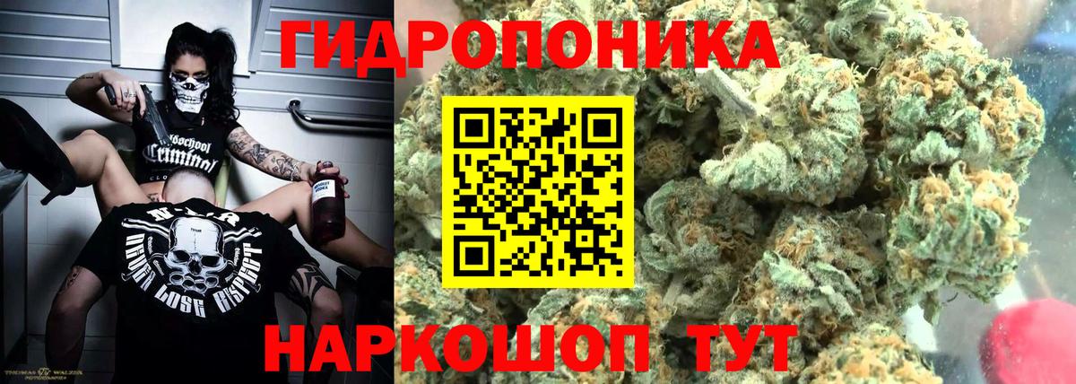 Бошки Шишки конопля  Шишки марихуана план  Вход с VPN  Канабис планчик  Серпухов 